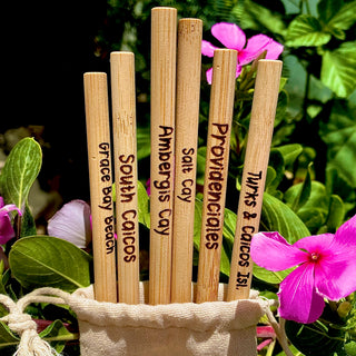 Load image into Gallery viewer, Branded Bamboo Straws
