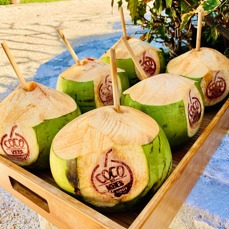 CocoVibes – Coco Vibes TC